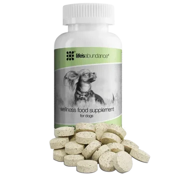 Wellness Food Supplement