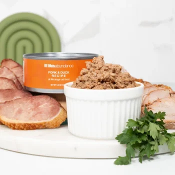 Pork & Duck Recipe Canned Cat Food